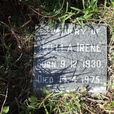 MORGAN Stella Irene 1930-1975