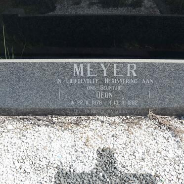 MEYER Deon 1979-1982