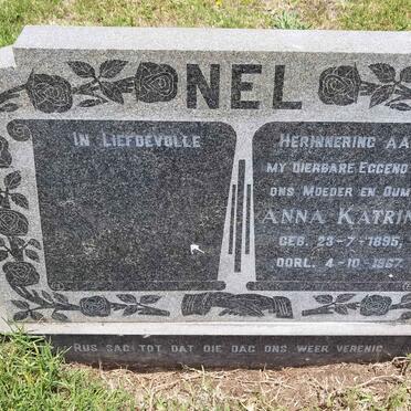 N - Vanne :: Surnames - N