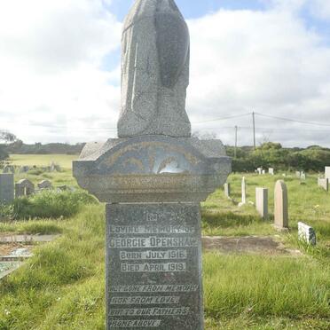 OPENSHAW William -1919 &amp; Susan -1920 :: OPENSHAW Georgie 1916-1919 :: OPENSHAW Percy 1884-1963