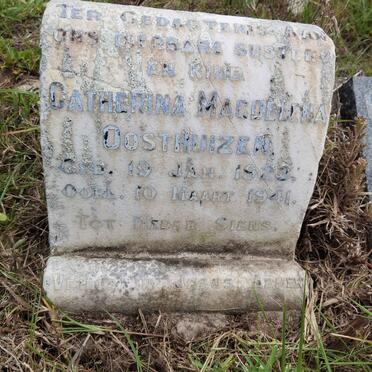 O - Surnames :: Vanne - O