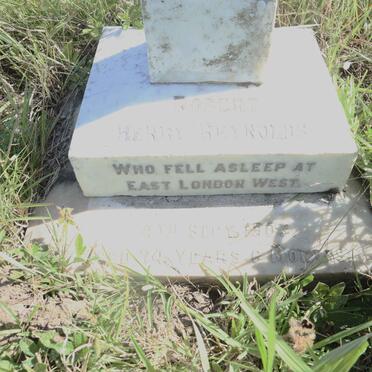 REYNOLDS Robert Henry -1903