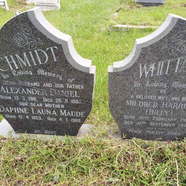 SCHMIDT Alexander Daniel 1916-1980 & Daphne Launa Maude 1923-1988 :: WHITTAL Mildred Harriet 1925-1972