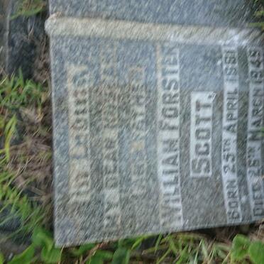 SCOTT William Forster 1881-1949