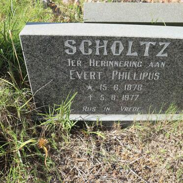 SCHOLTZ Evert Phillipus 1878-1977