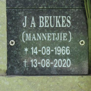 BEUKES J.A. 1966-2020