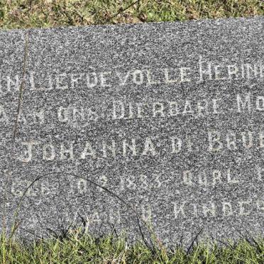 BRUIN Johanna, de 1883-1944