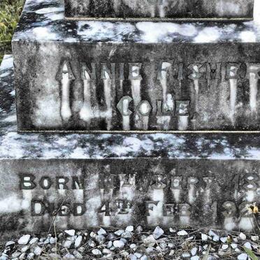 COLE Annie nee FISHER 1856-1929