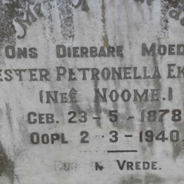 EKRON Hester Petronella nee NOOME 1878-1940