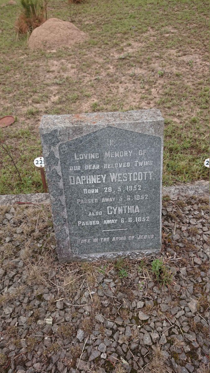 WESTCOTT Daphne 1952-1952 :: WESTCOTT Cynthia 1952-1952