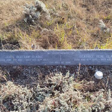 CLARKE James Bertram 1881-1957 &amp; Beatrice Vigne 1885-1958