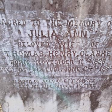 CLARKE Julia Ann 1828-1894 