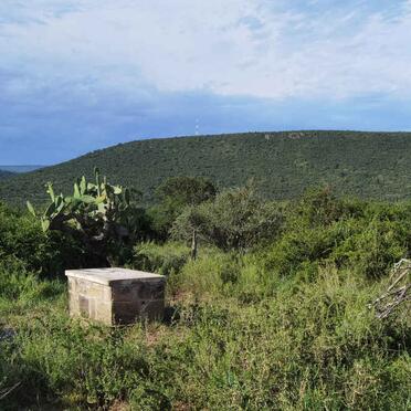 Eastern Cape, FORT BEAUFORT district, Fort Beaufort Commanage 905, Rev. Williams's Grave