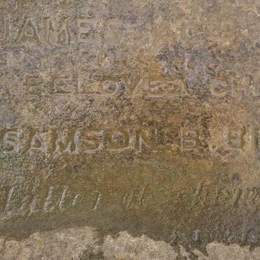 BISHOP Samson Henry :: BISHOP William Henry :: BISHOP James