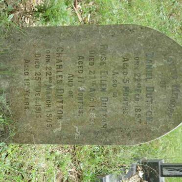 DUTTON Daniel 1897-1898 :: DUTTON Rose Ellen -1903 :: DUTTON Charles 1905-1915