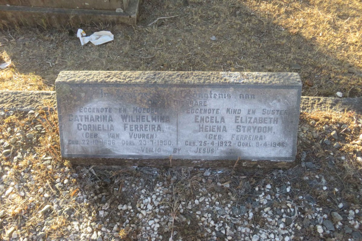 FERREIRA Catharina Wilhelmina Cornelia nee VAN VUUREN 1896-1930 :: STRYDOM Engela Elizabeth Heiena nee FERREIRA 1922-1946