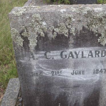 GAYLARD A.C. -1947 