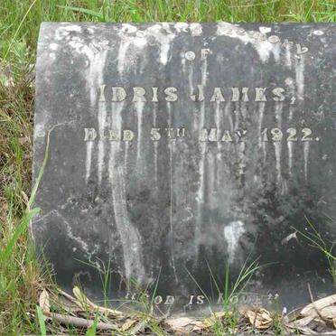 JAMES Idris -1922