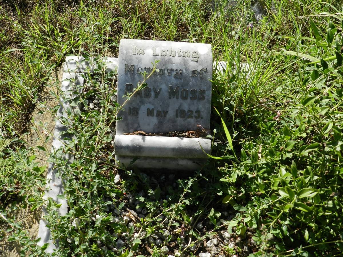 MOSS Baby -1923
