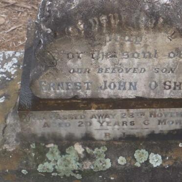 O'SHEA Ernest John -1913