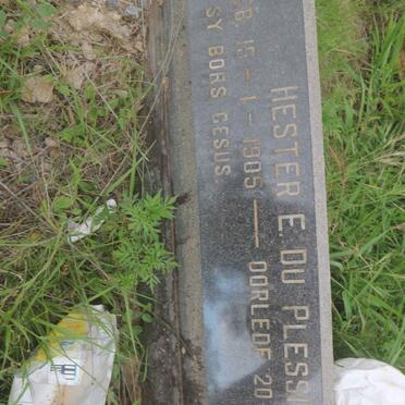 PLESSIS Hester E., du 1905-1983