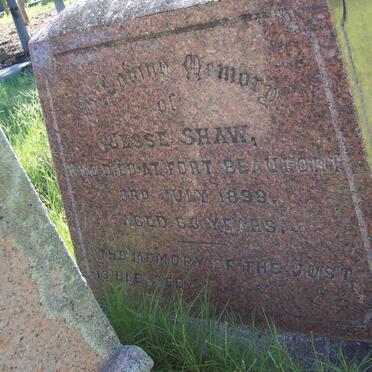 SHAW Jessie -1899