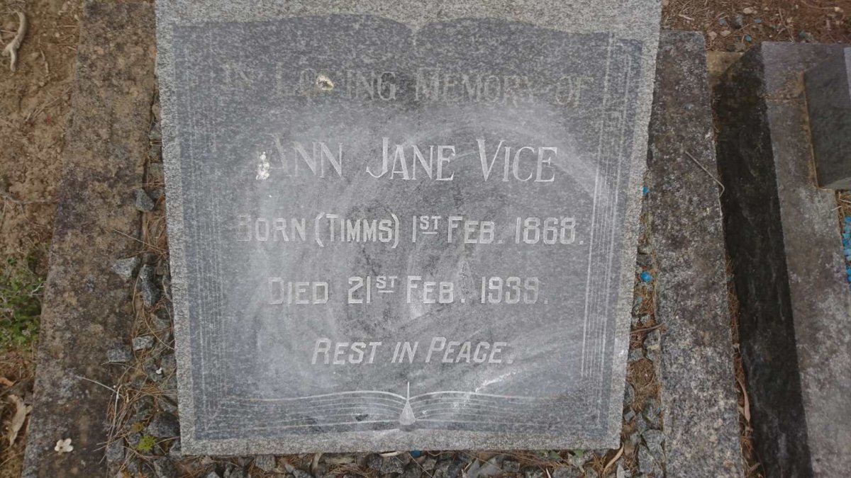 VICE Ann Jane nee TIMMS 1868-1939