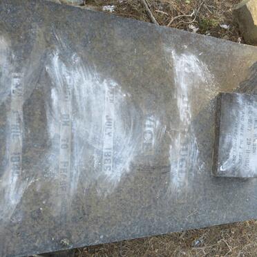 VICE Clyde Douglas 1886-1940 &amp; Ellen Katherine WILSON 1887-1956