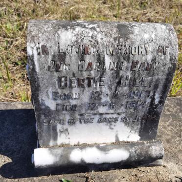 HILL Bertie 1913-1914