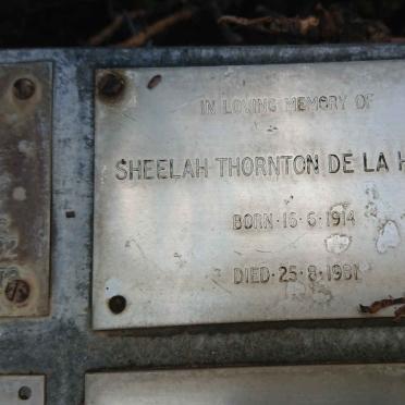 HARPE Sheelah Thornton, de la 1914-1981