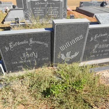 WILLIAMS Fanie 1930-1995 &amp; Joey WEITSZ 1939-