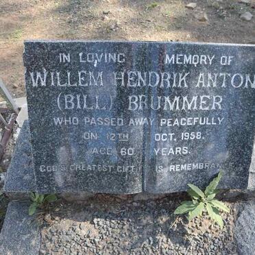 BRUMMER Willem Hendrik Anton -1958