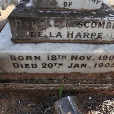 HARPE Harold Luscombe, de la 1904-1905