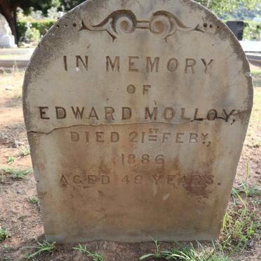 MOLLOY Edward -1886