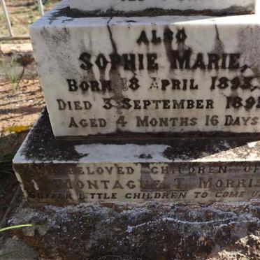 MORRIS David Westcott Orme 1892-1892 :: MORRIS Sophie Marie 1893-1893_3