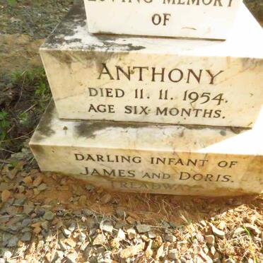 TREADWAY Anthony -1954