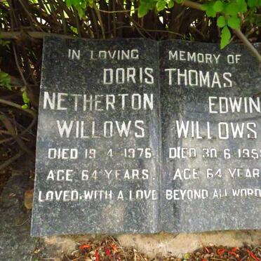 WILLOWS Thomas Edwin -1958 & Doris Netherton -1976 