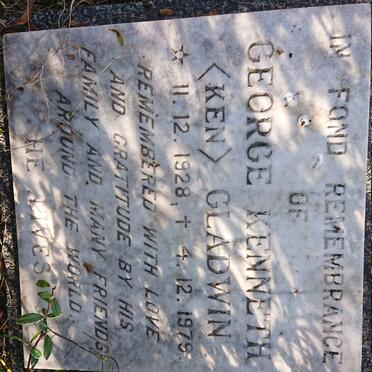 Eastern Cape, GRAAFF-REINET district, Sneeuberge, Groenfontein 44, Gordonville_2, farm cemetery