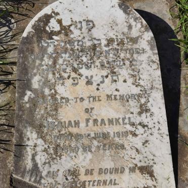 FRANKEL Isaiah -1919