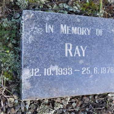 ? Ray 1933-1978