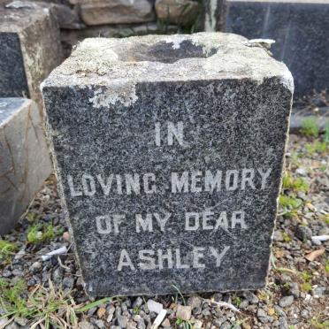 ? Ashley