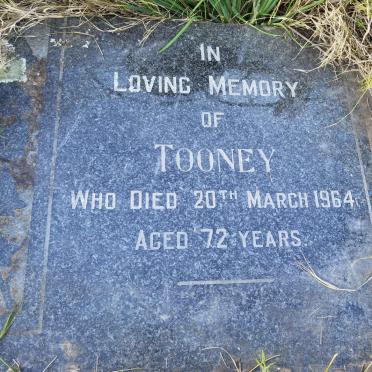 ? Tooney -1964