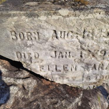 ? Ellen Sarah 1904 :: ? 