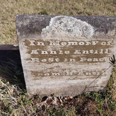 ANTILL Annie