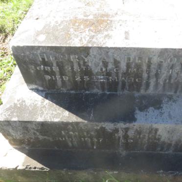 ANDERSON Henry 1830-191? &amp; Emily 1837-191?