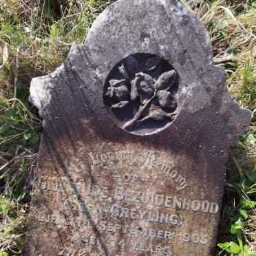 BEZUIDENHOUD Gertrude nee GREYLING -1905