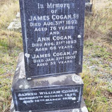 COGAN James -1892 &amp; Ann -1893 :: COGAN James -1905 :: COGAN Alfred William 1857-1936