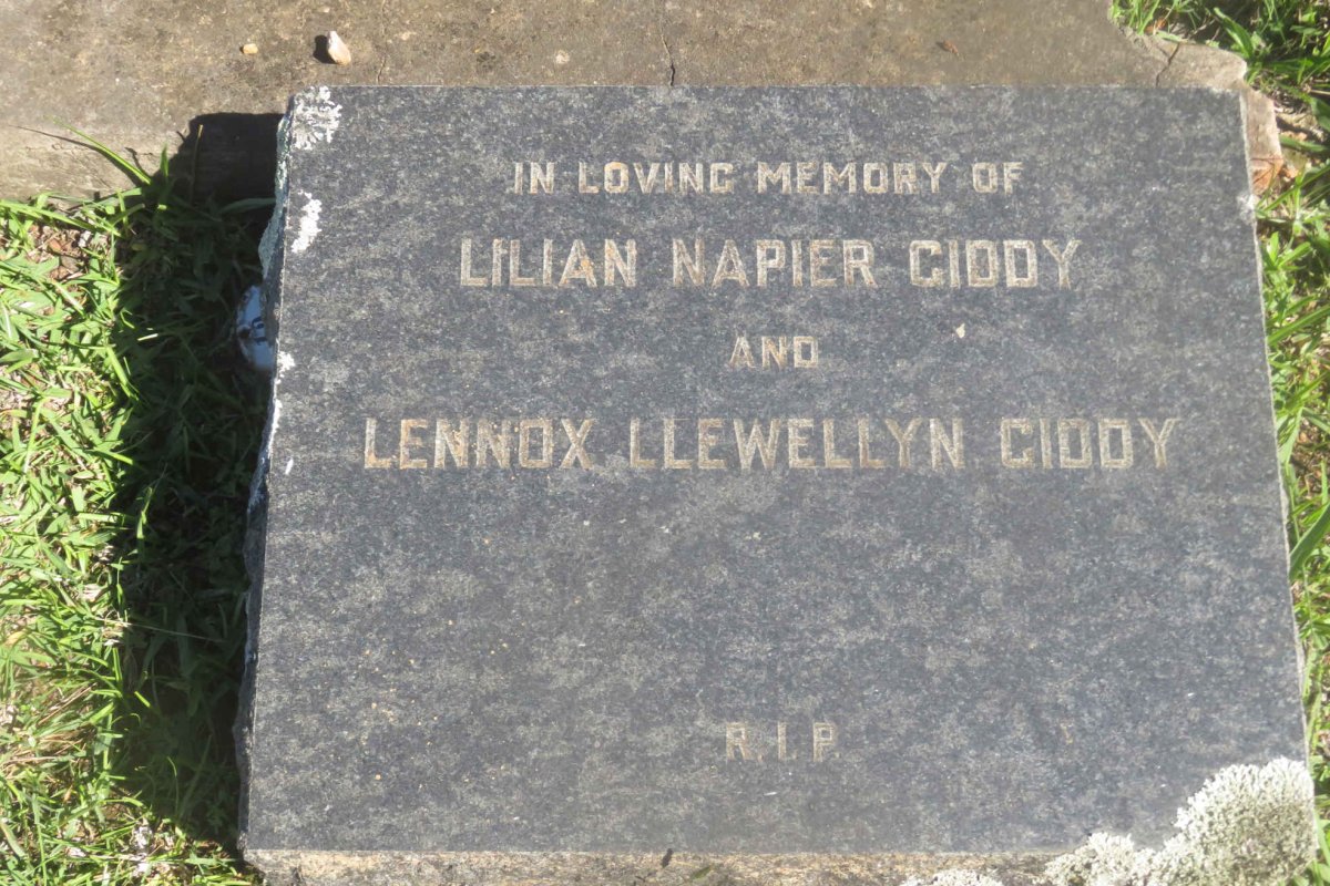 GIDDY Lennox Llewellyn &amp; Lilian Napier