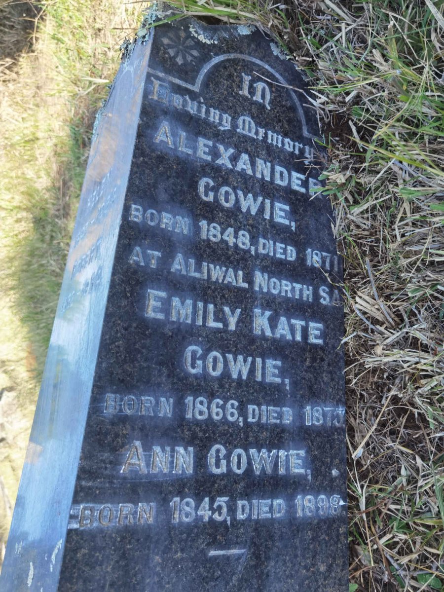 GOWIE Alexander 1848-1871 :: GOWIE Emily Kate 1866-1875 :: GOWIE Ann 1845-1898