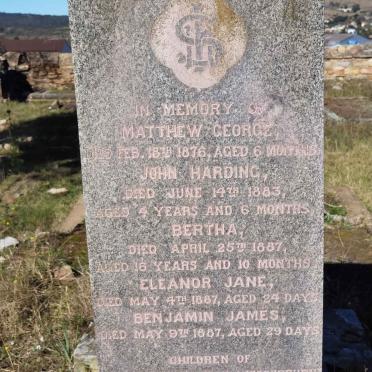 HAWKEN Matthew George -1876  :: HAWKEN John Harding -1883 :: HAWKEN Bertha -1887 :: HAWKEN Eleanor Jane -1887 :: HAWKEN Benjamin James -1887